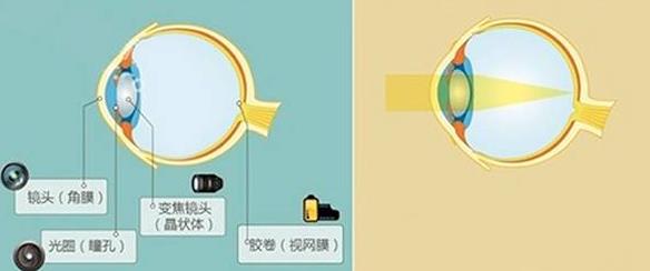 怎么佩戴老花鏡？驗(yàn)光 品牌 質(zhì)量 保養(yǎng)一個(gè)都不能少